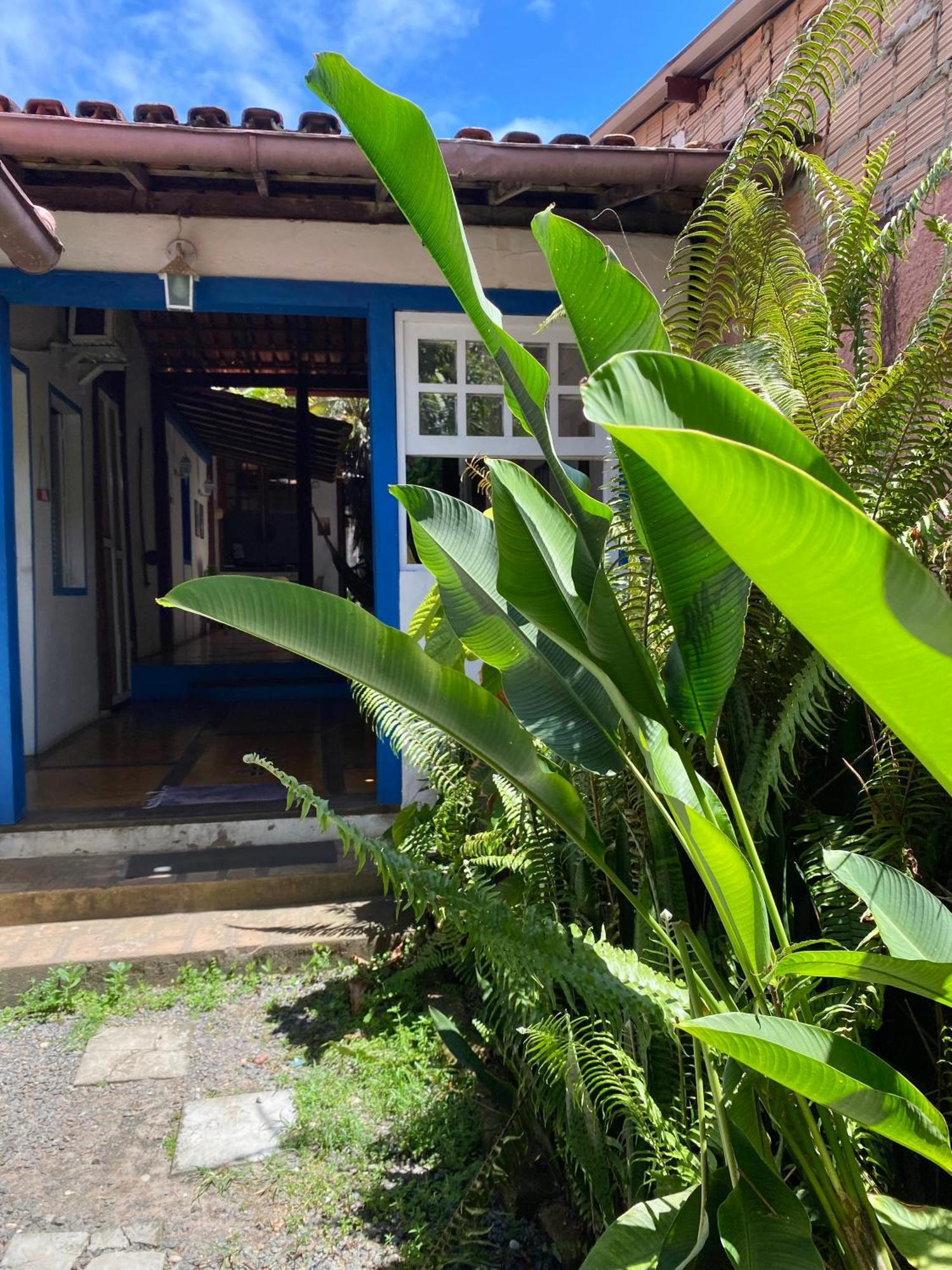 Tropicalia Hostel E Pousada Itacaré Εξωτερικό φωτογραφία